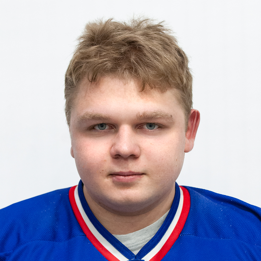 Моисеев Данила Юрьевич
